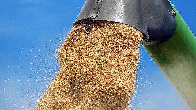 Україна, Великобританія та Литва впровадять систему Grain Verification Scheme (GVS) для протидії незаконному вивозу зерна з окупованих територій.