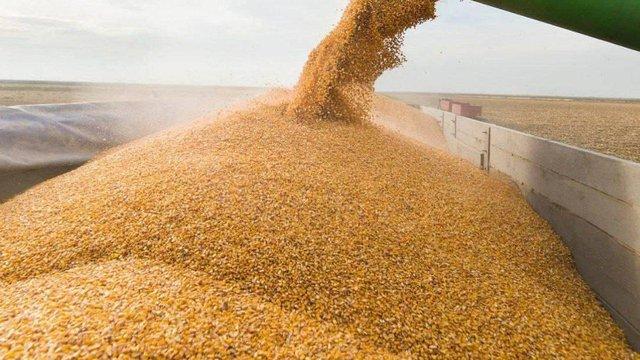 In January, Ukraine exported 3.1 million tons of grain, according to the Ministry of Agrarian Policy.